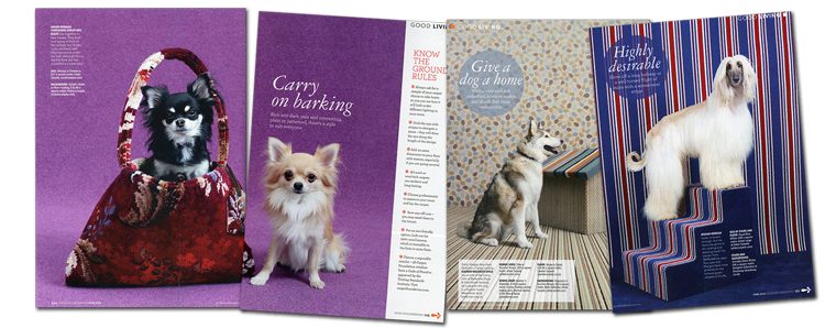 good-housekeep-comp-images6